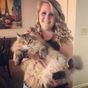 Meet your Posher, Ally